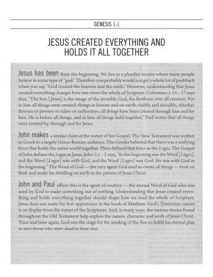 The Jesus Bible, ESV Edition--soft leather-look, multi-color/teal