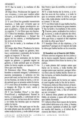 Biblia RVR 1960 de Letra Grande