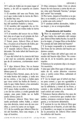 Biblia RVR 1960 de Letra Grande
