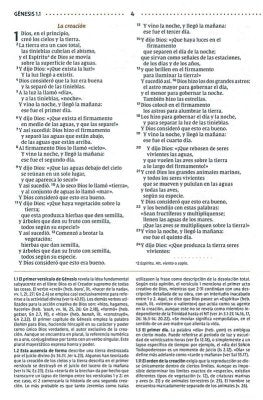 Biblia de Estudio para la Mujer NVI, Lila