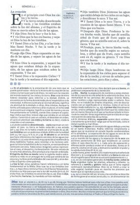 Biblia de Estudio RVR 1960 Nelson, Enc. Dura (RVR 1960 Nelson Study Bible, Hardcover)