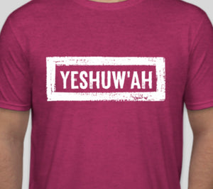 Yeshuw'ah T-Shirt - Antique Heliconia