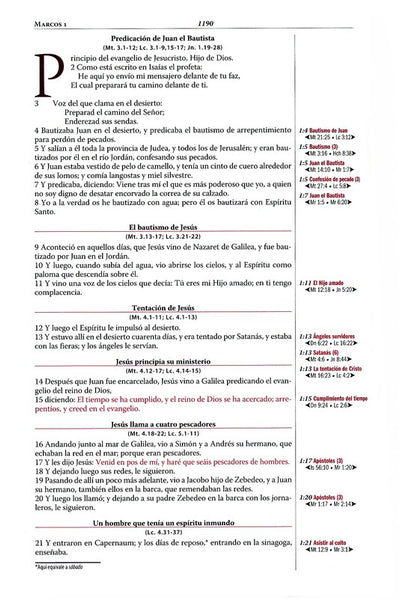 Thompson Bible (Spanish) RVR 1960